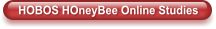 HOBOS HOneyBee Online Studies