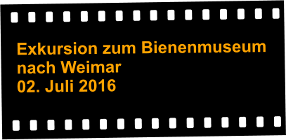 Exkursion zum Bienenmuseum  nach Weimar 02. Juli 2016